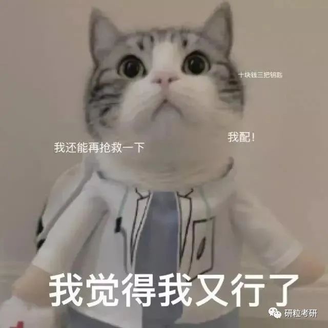 研粒考研专业课历年真题 研粒考研专业课历年真题