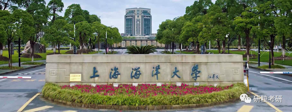 研粒考研改名成功的大学