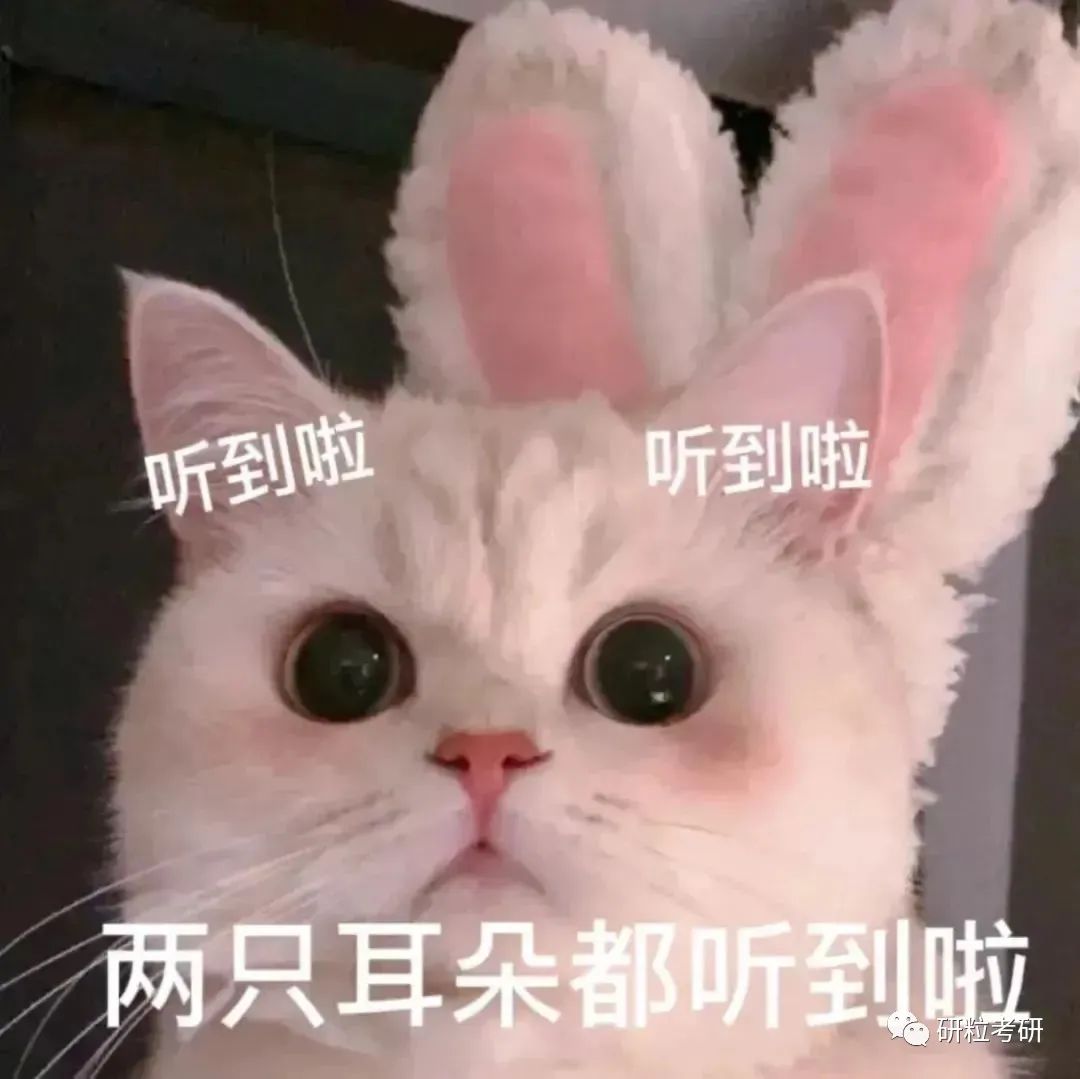 研粒考研四六级没过