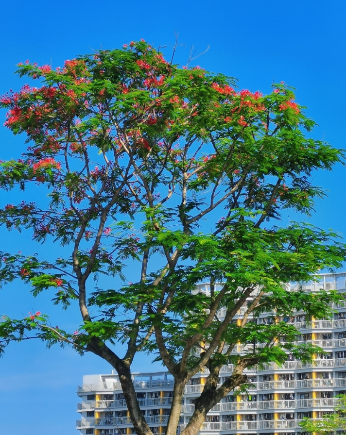 考研汕头大学